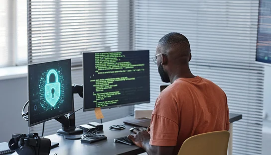 security posture